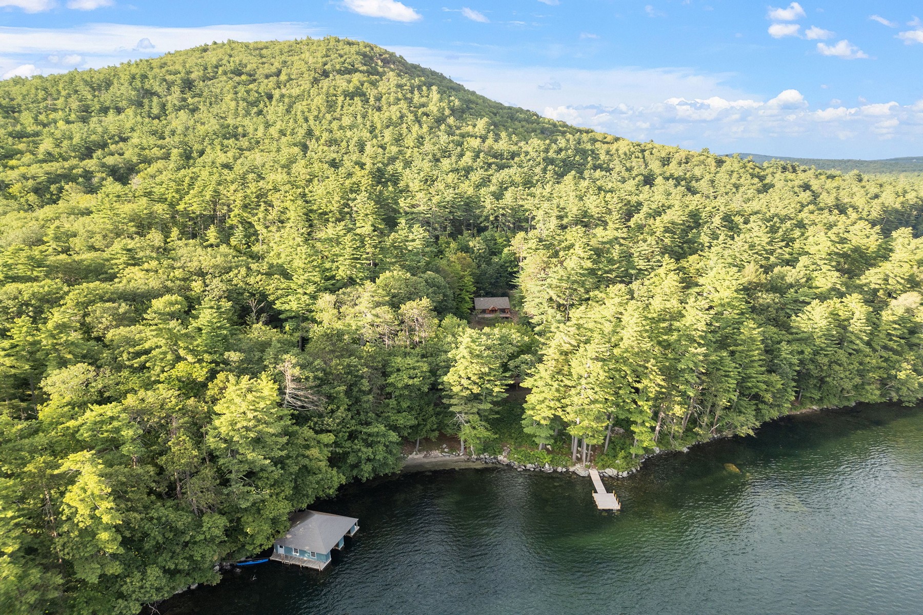  294 Pinehurst Road - 物件實景