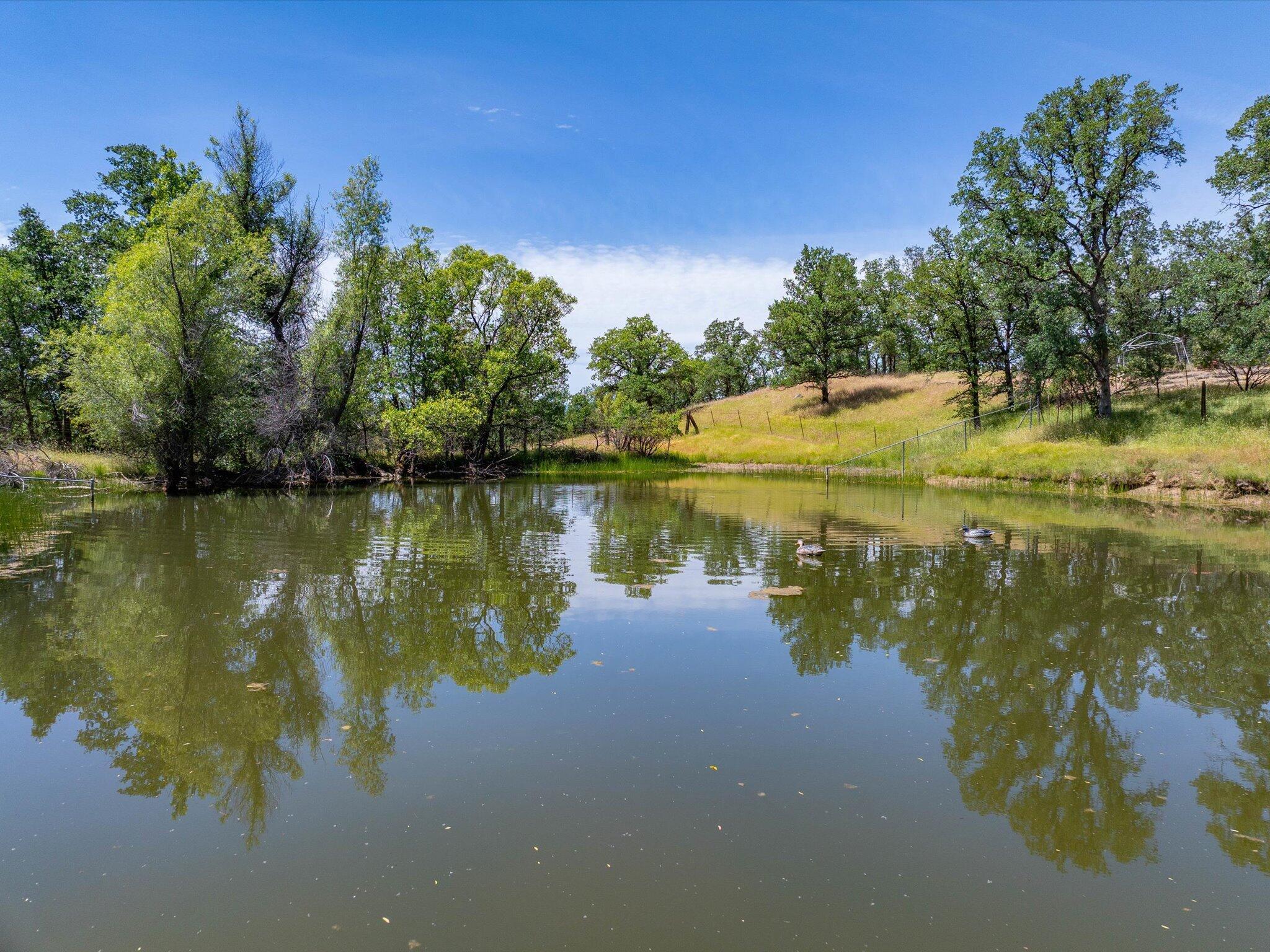 Palo Cedro, California, 96073, United States, 4 Bedrooms Bedrooms, ,3 BathroomsBathrooms,Residential,For Sale,1993452