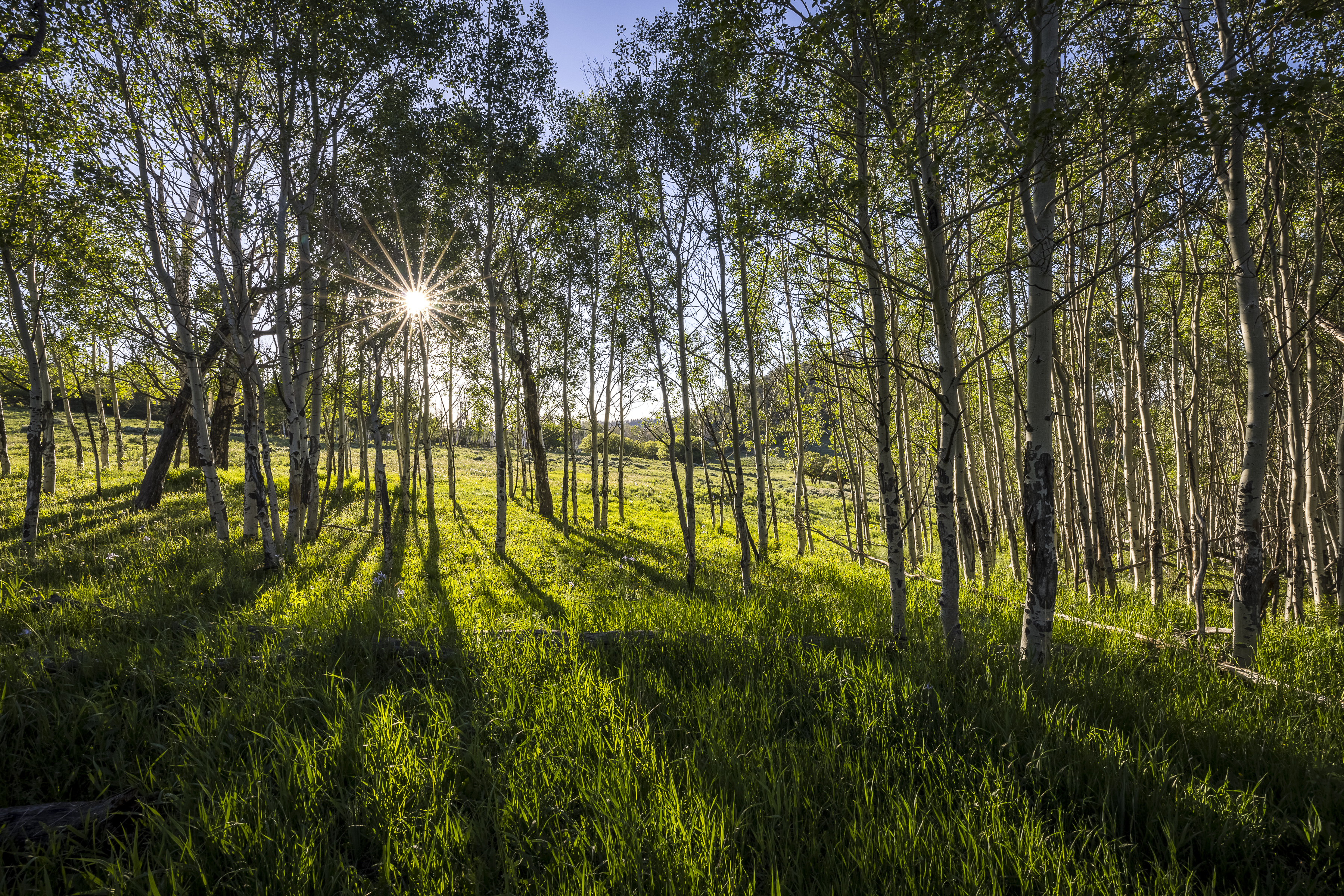  Telluride Renegade Ranch - 602 acres on Hastings Mesa - 物件實景