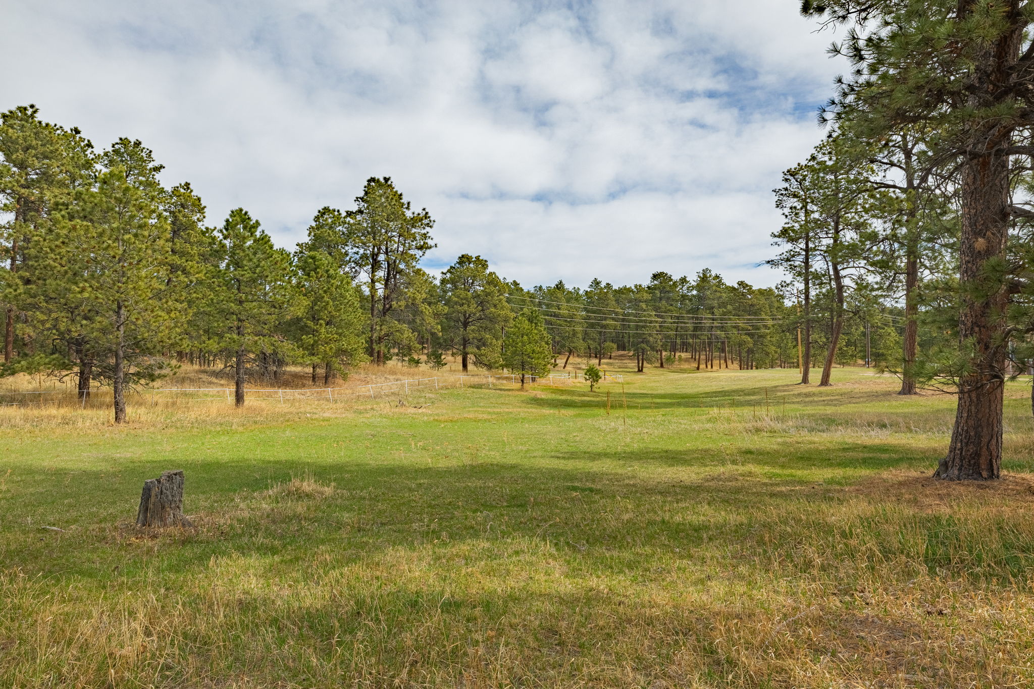  Historic Pine Run Ranch in Black Forest on rare 60 acres - 物件實景