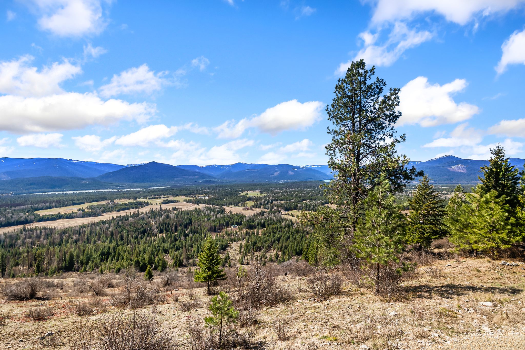  Custom Mountain Lodge with Unrivaled Montana Views - 物件實景