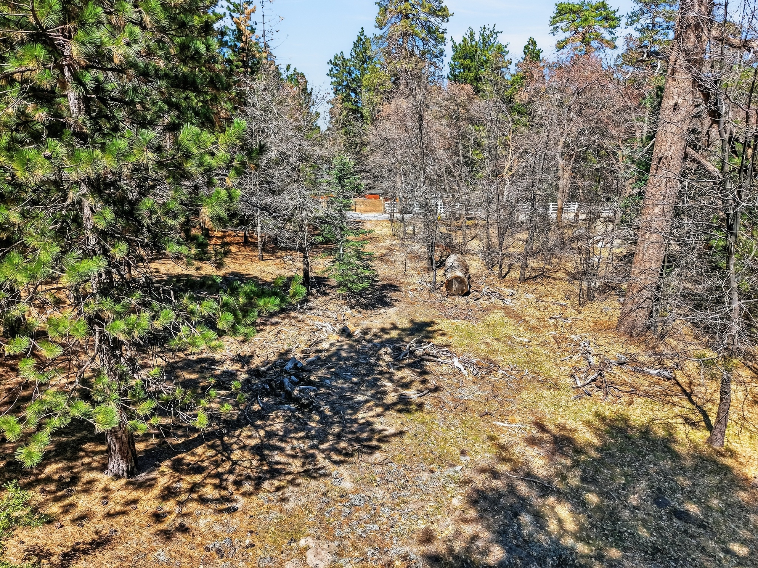  0 Cepu Rd, Running Springs , CA 92382 - 物件實景
