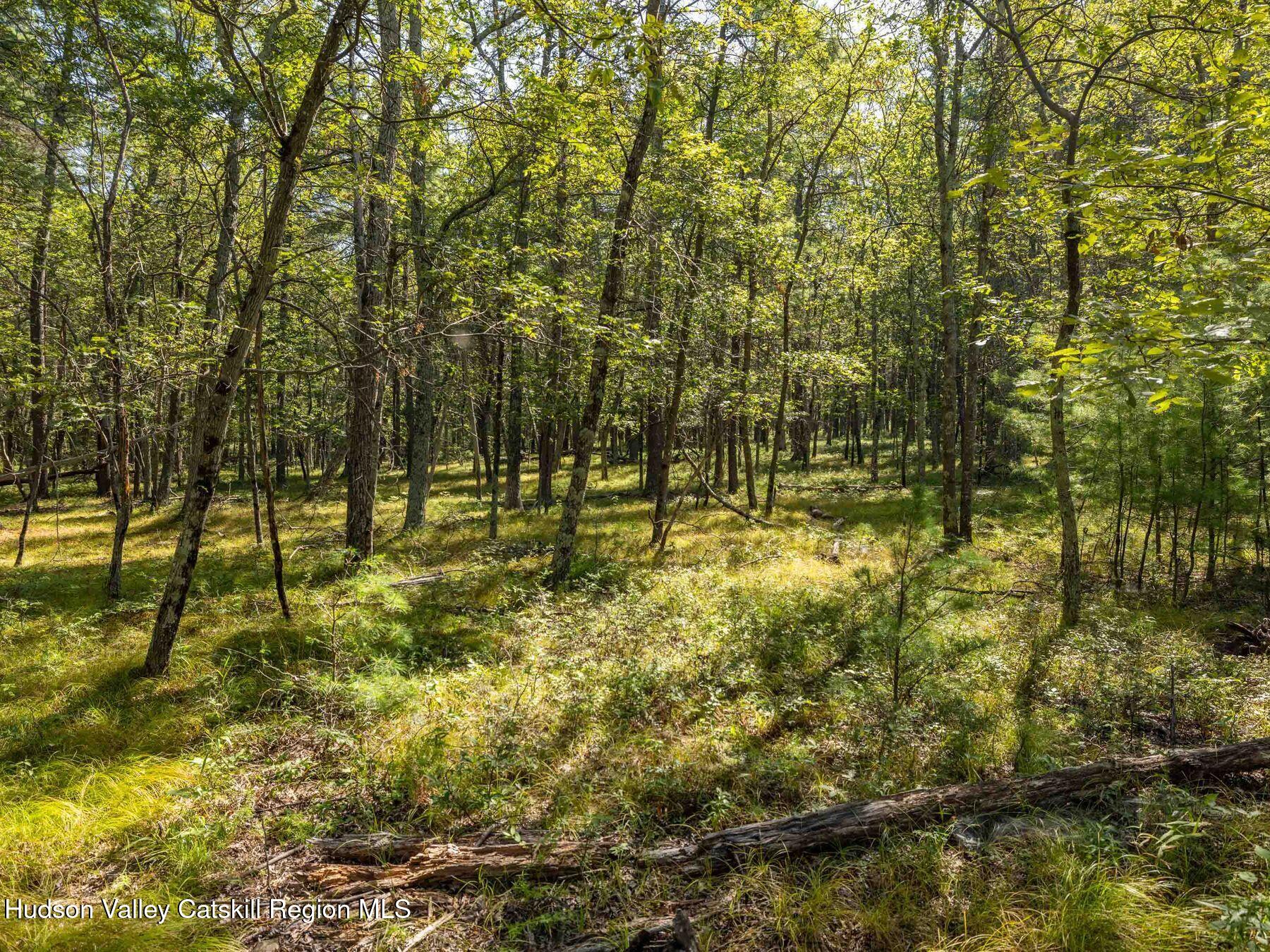 Hurley, New York, 12443, United States, ,Residential,For Sale,1947114