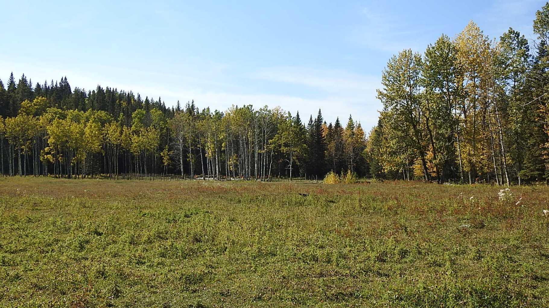 RURAL FOOTHILLS COUNTY, Alberta, T0L 1K0, CA, ,Residential,For Sale,1836944