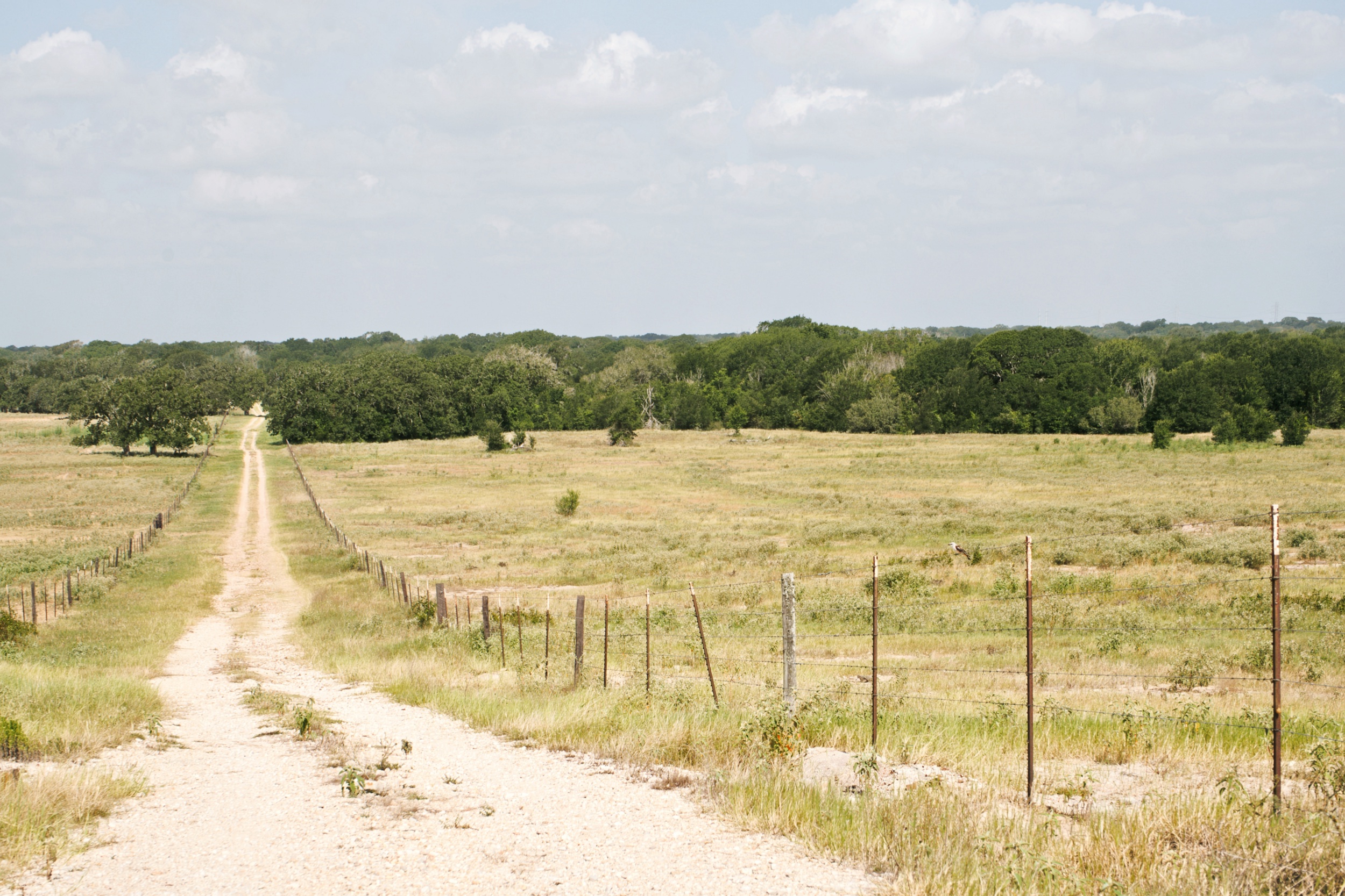  Bar Nothing Ranch, Fayette County - 物件實景
