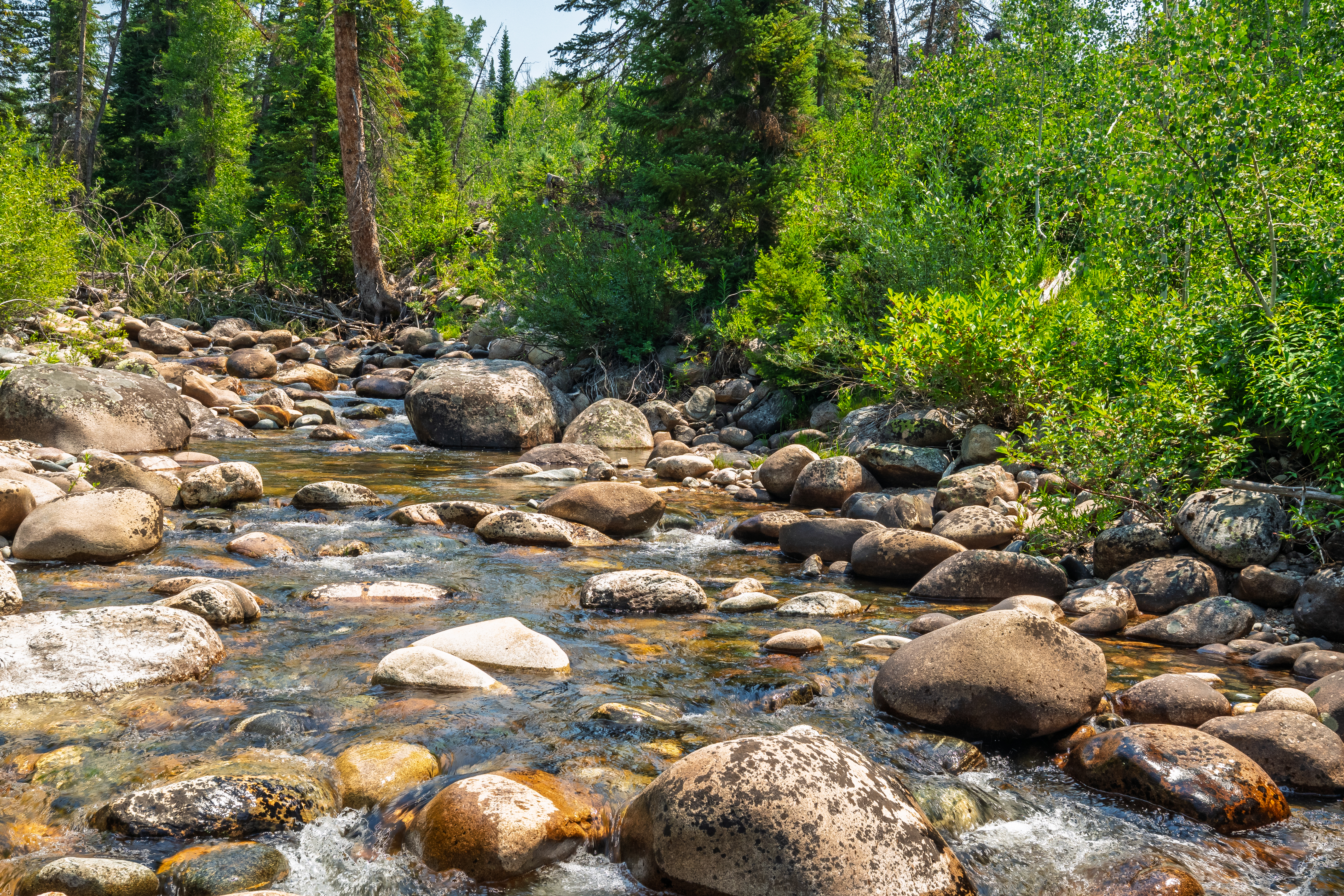  32065 Pebble Run, Steamboat Springs, CO, 80487 - 物件實景