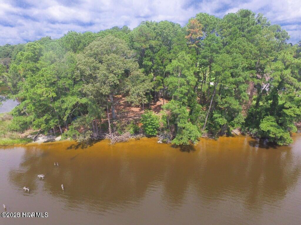 Bath, North Carolina, 27808, United States, ,Land,For Sale,1895409