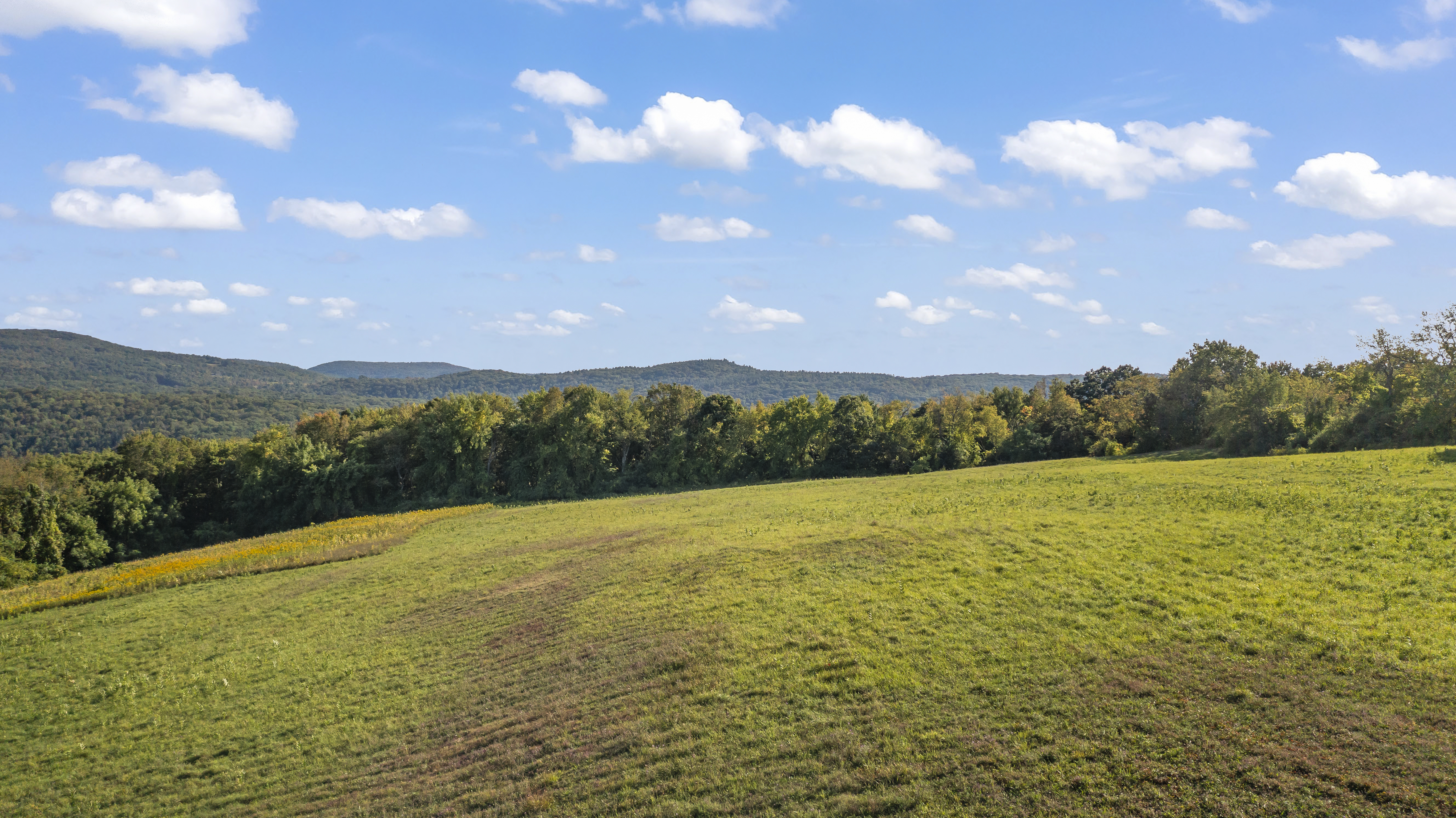  388 Maple Drive, East Chatham, NY 12060 - 物件實景