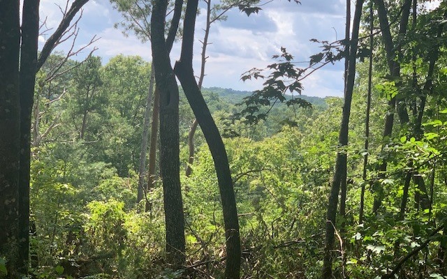 Jasper, Georgia, 30143, United States, ,Residential,For Sale,1916638