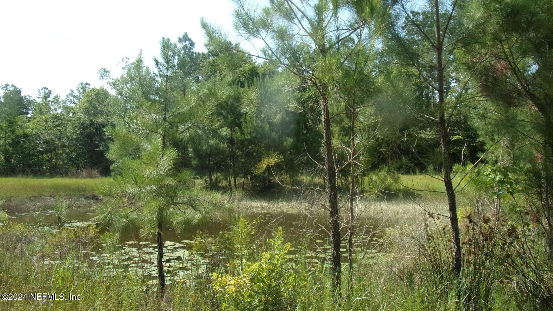 Palatka, Florida, 32177, United States, ,Residential,For Sale,1924559