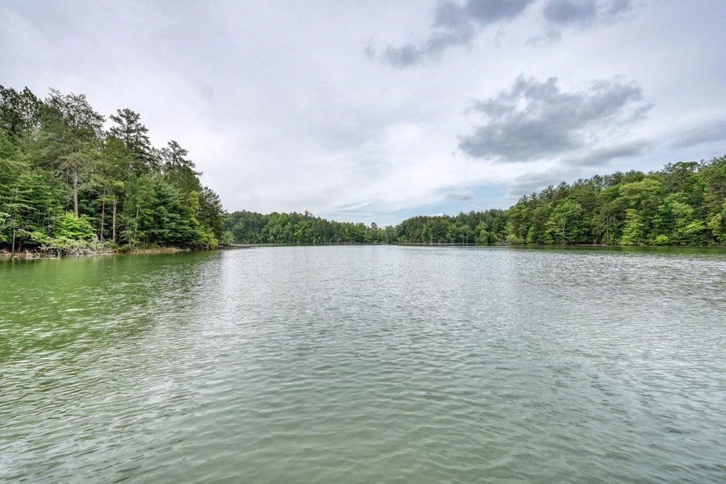 Blairsville, Georgia, 30512, United States, 5 Bedrooms Bedrooms, ,6 BathroomsBathrooms,Residential,For Sale,1901332