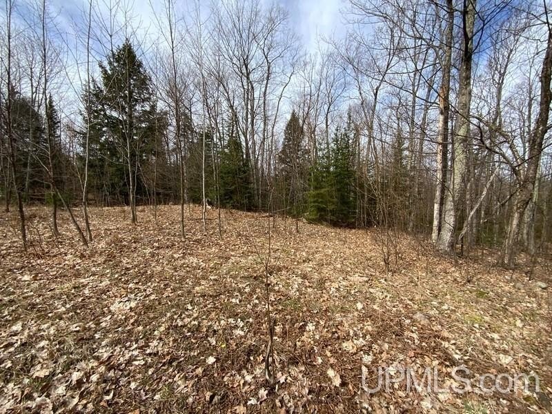 TBD W US 41, Marquette, Michigan, 49855, United States, ,Residential,For Sale,TBD W US 41,1601608
