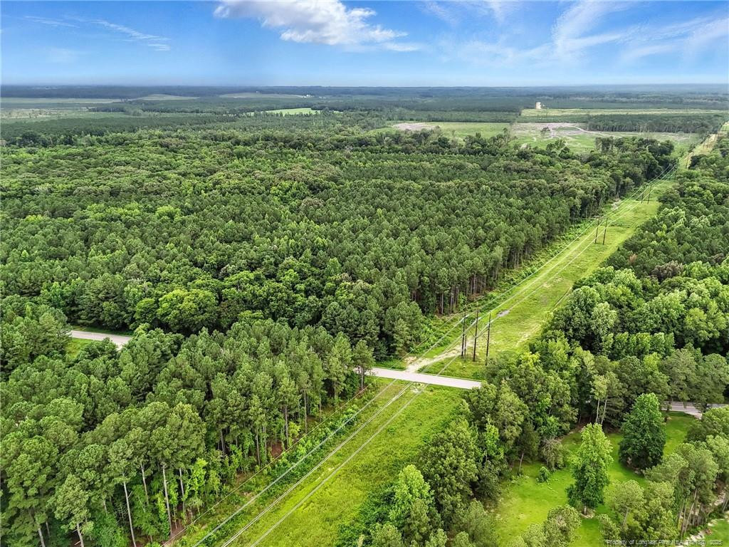 Wade, North Carolina, 28395, United States, ,Land,For Sale,1891652