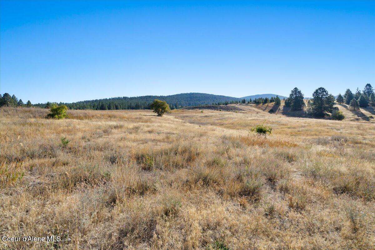 Post Falls, Idaho, 83854, United States, ,Residential,For Sale,1998307