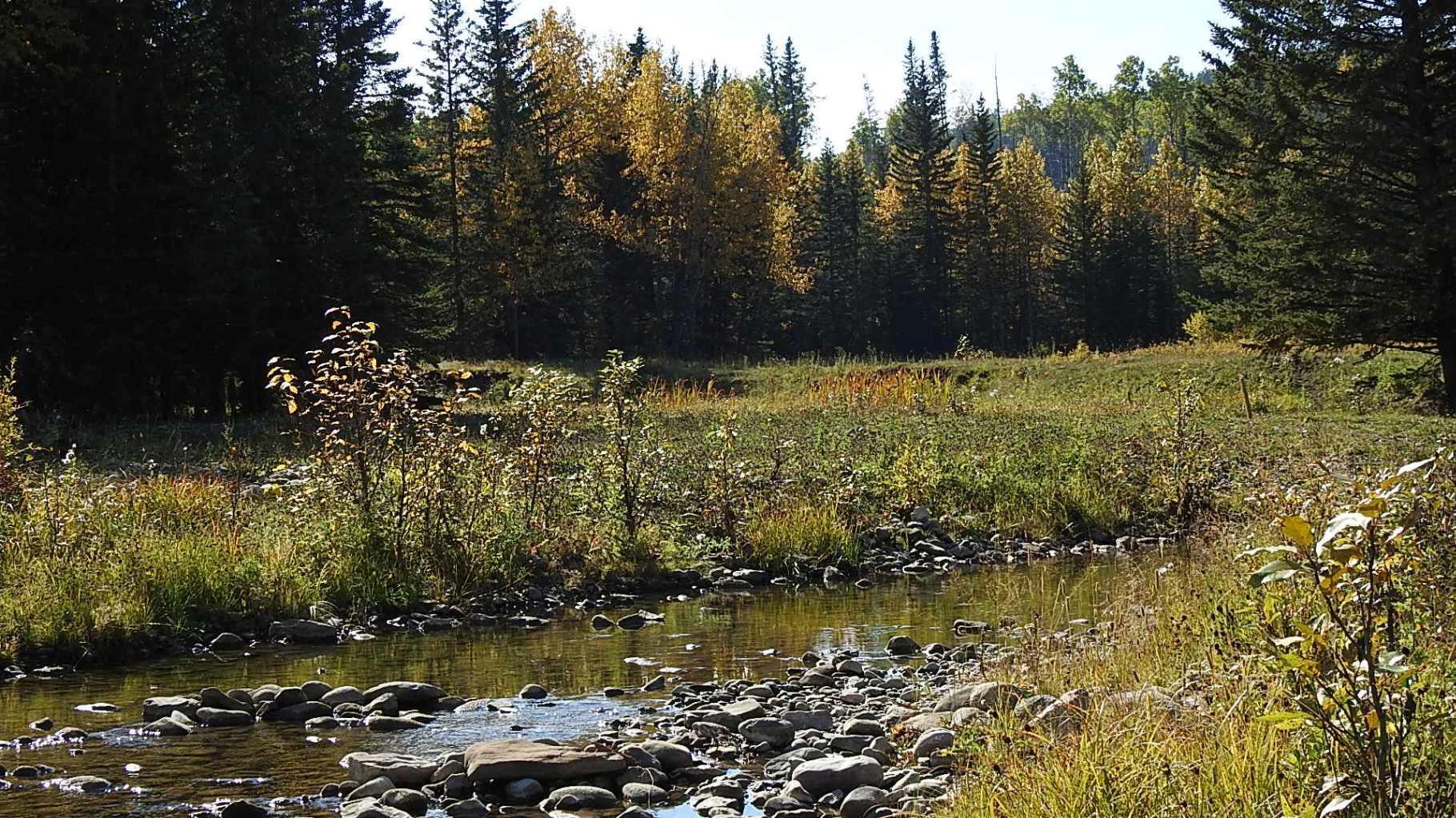 RURAL FOOTHILLS COUNTY, Alberta, T0L 1K0, CA, ,Residential,For Sale,1836944