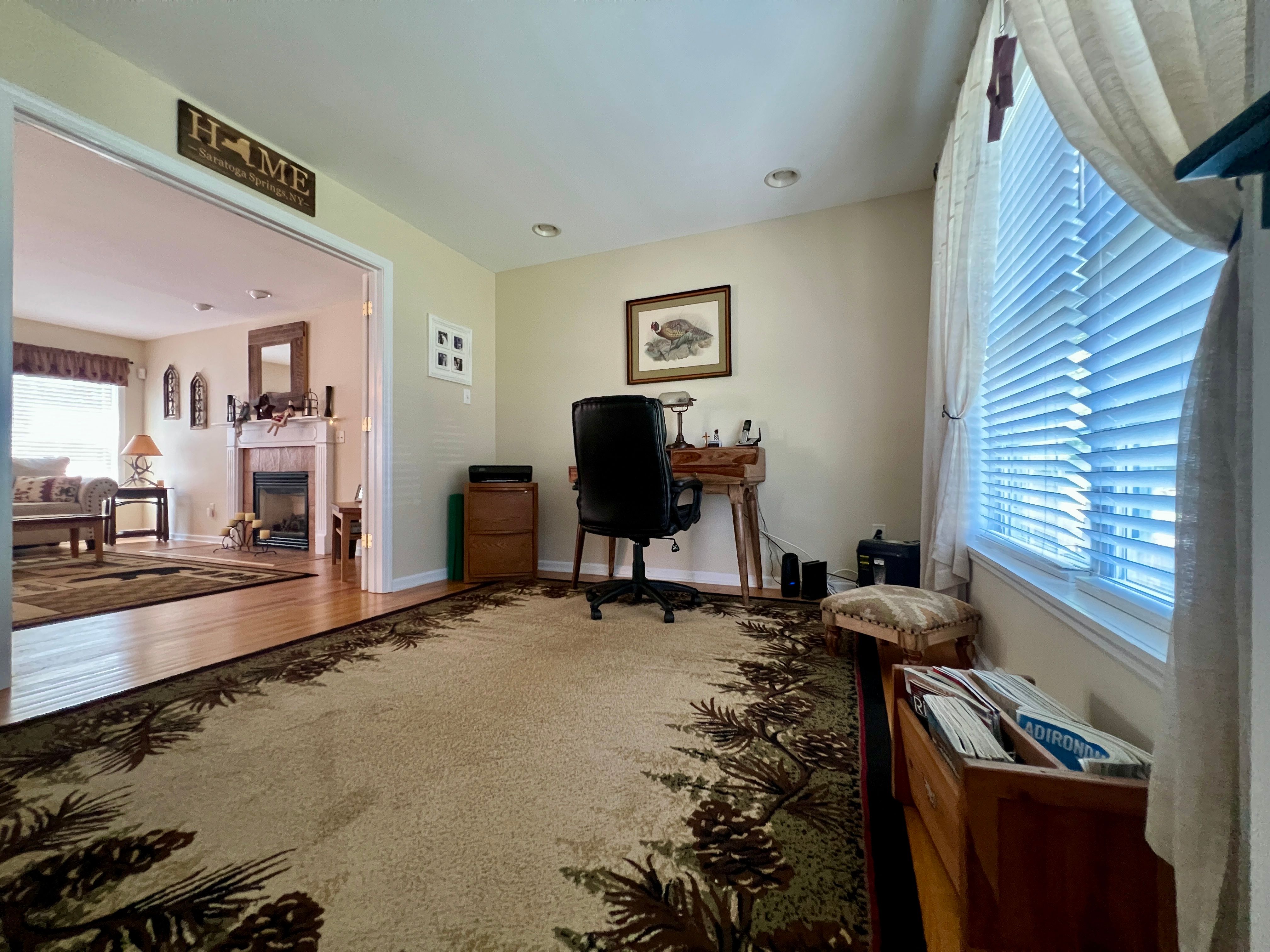  53 Native Dancer Lane, Saratoga Springs, NY 12866 - 物件實景