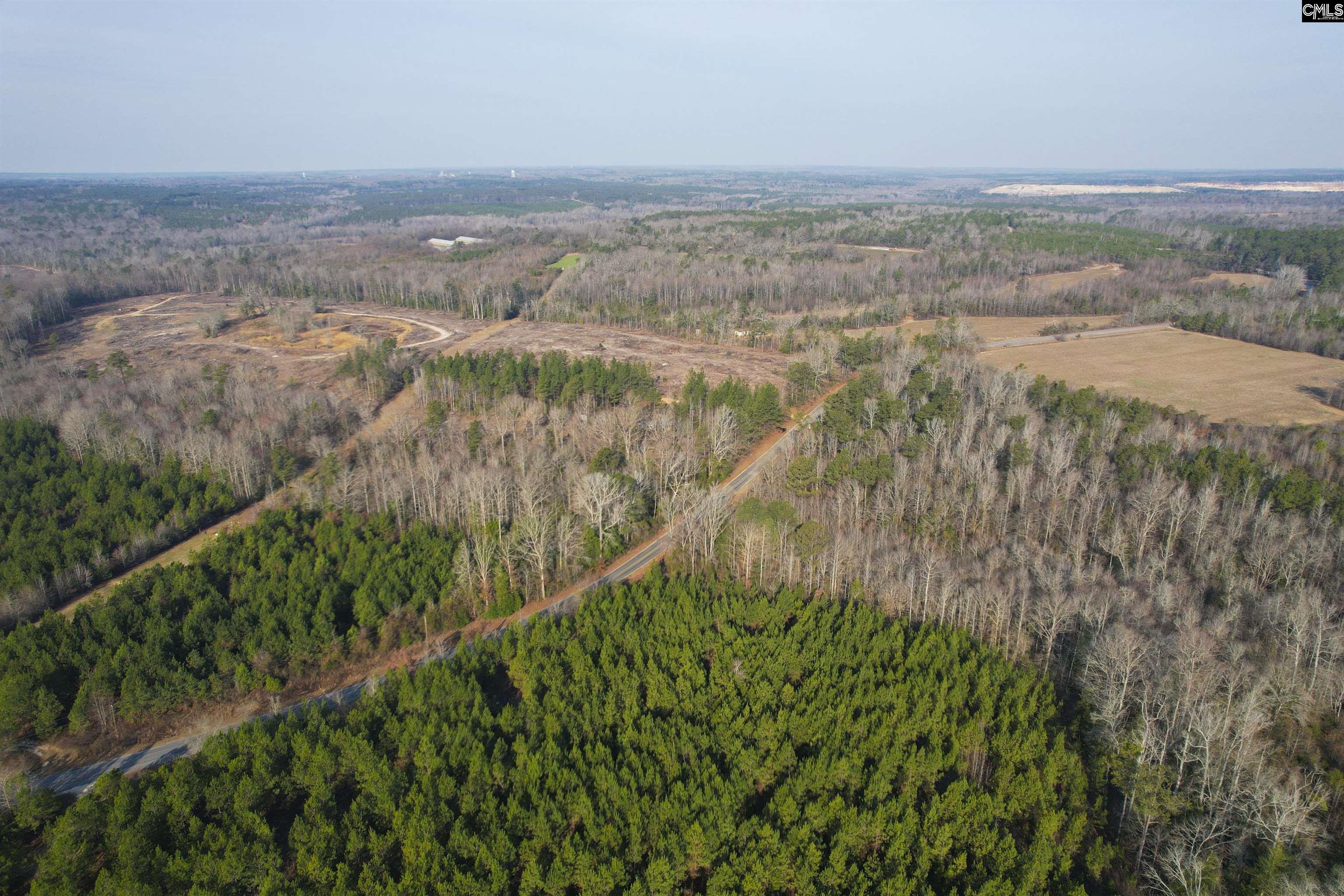 703 Neds Creek Road, Kershaw, South Carolina, 29067, United States, ,Land,For Sale,703 Neds Creek Road,1669372