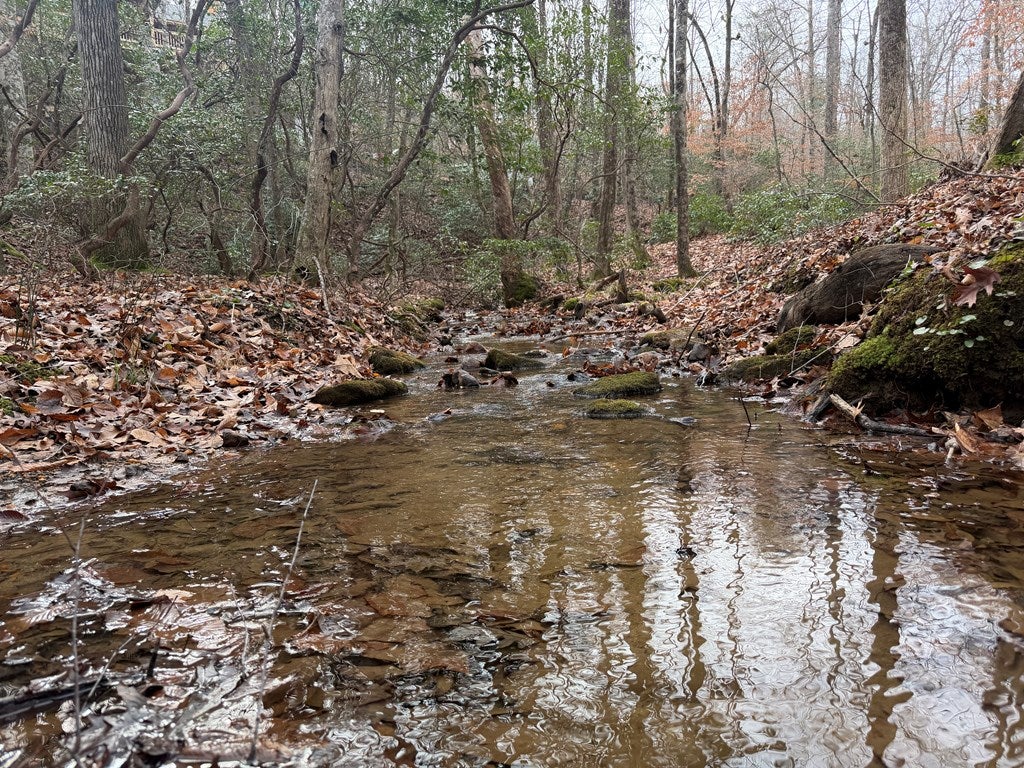 Blue Ridge, Georgia, 30513, United States, 3 Bedrooms Bedrooms, ,3 BathroomsBathrooms,Residential,For Sale,1995238