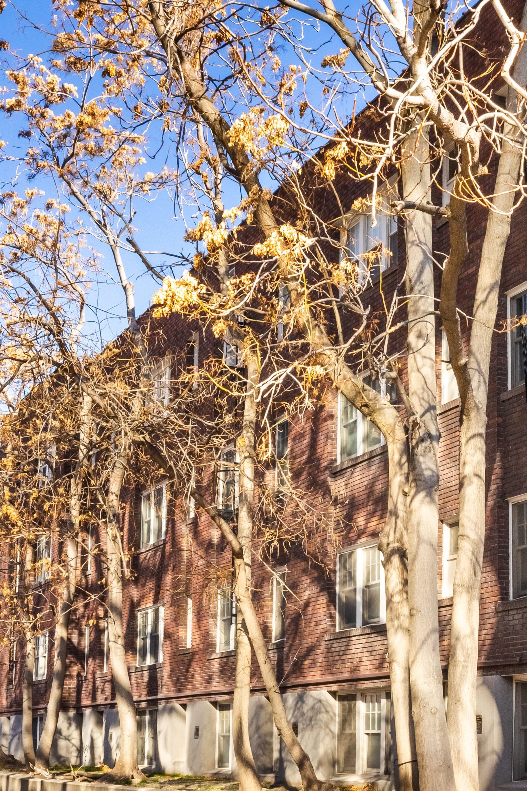  Charming Top Floor Condo Unit in Historic Downtown Building - 物件實景