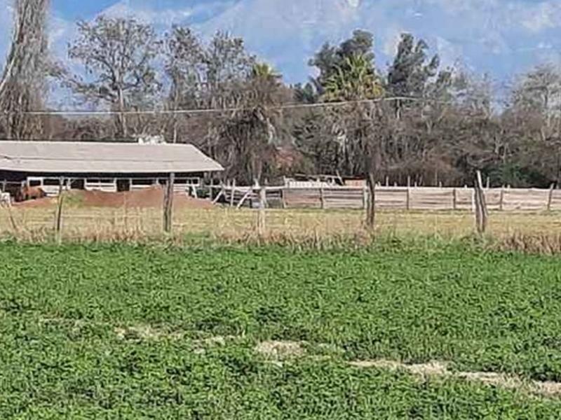 Paine, Chile, ,Land,For Sale,1858313