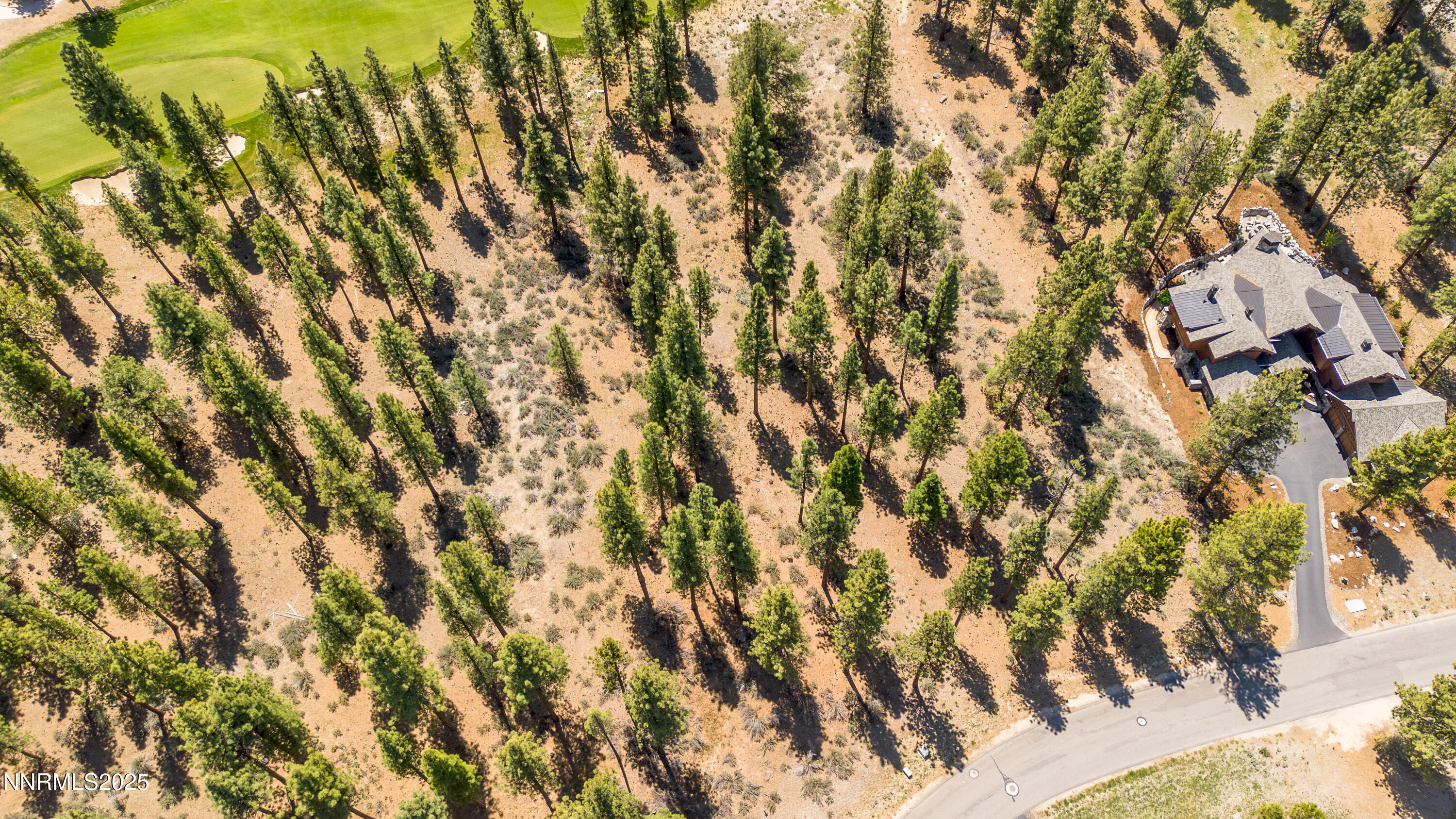 Carson City, Nevada, 89705, United States, ,Land,For Sale,1846834