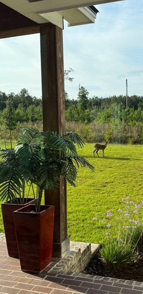 Valdosta, Georgia, 31601, United States, 4 Bedrooms Bedrooms, ,5 BathroomsBathrooms,Residential,For Sale,1991156