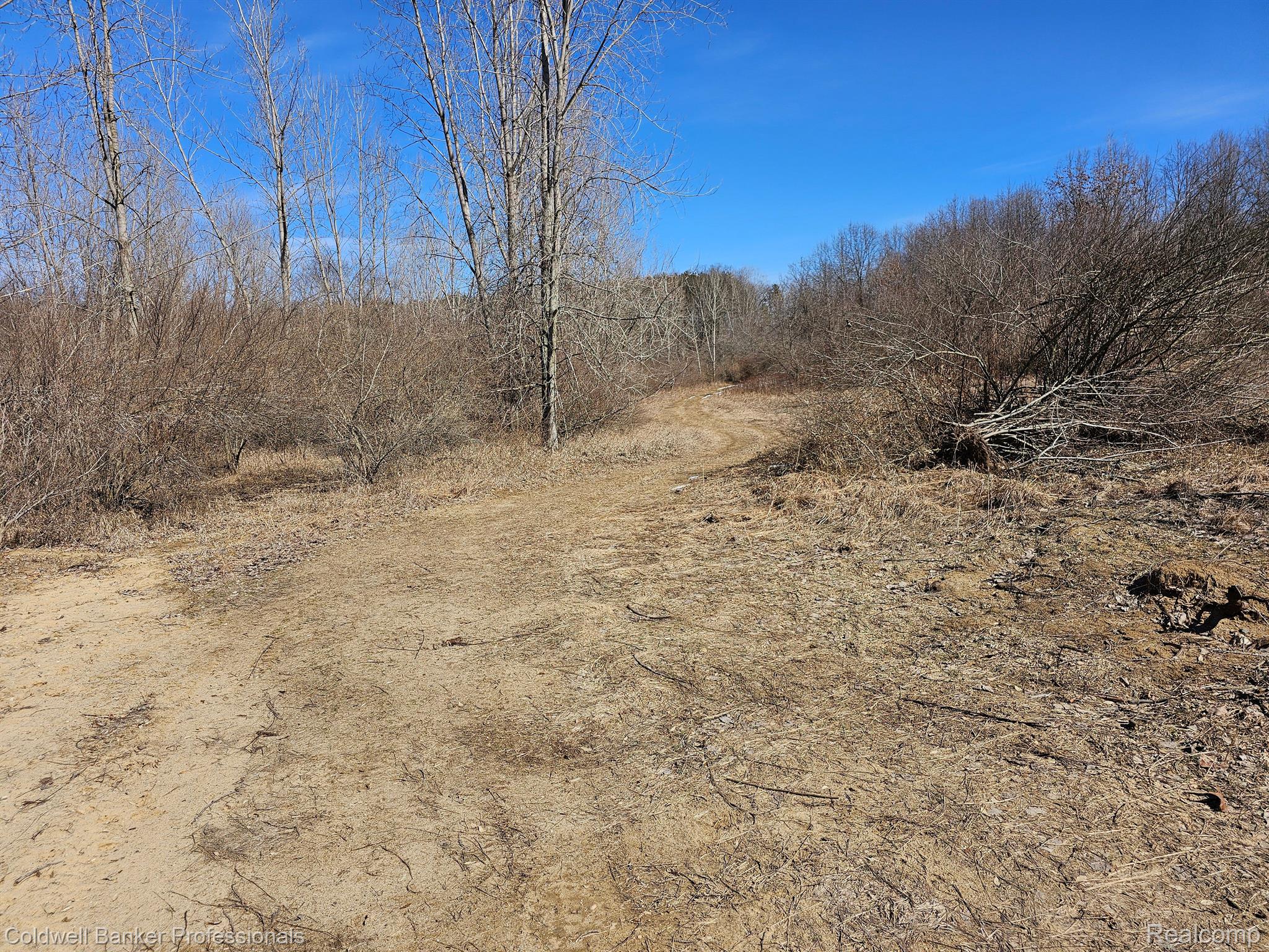 Metamora, Michigan, 48455, United States, ,Land,For Sale,1736755