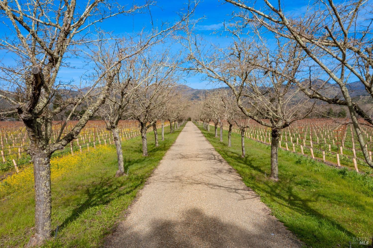 Calistoga, California, 94515, United States, 3 Bedrooms Bedrooms, ,3 BathroomsBathrooms,Residential,For Sale,1990921