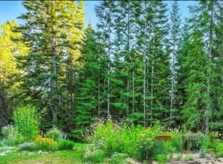 Sandpoint, Idaho, 83864, United States, 2 Bedrooms Bedrooms, ,2 BathroomsBathrooms,Residential,For Sale,2006058