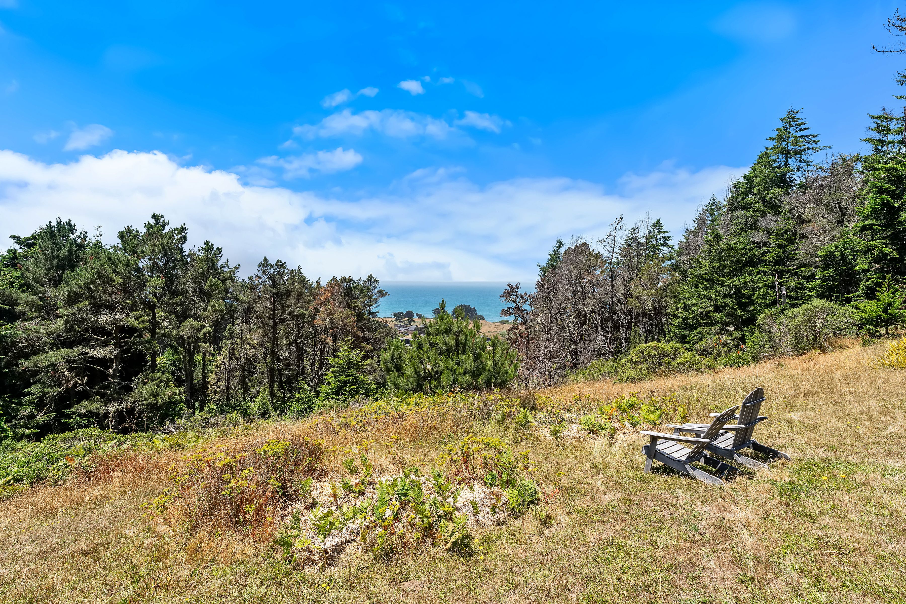  35926 Seaward Ranch, The Sea Ranch, CA 95497 - 物件實景