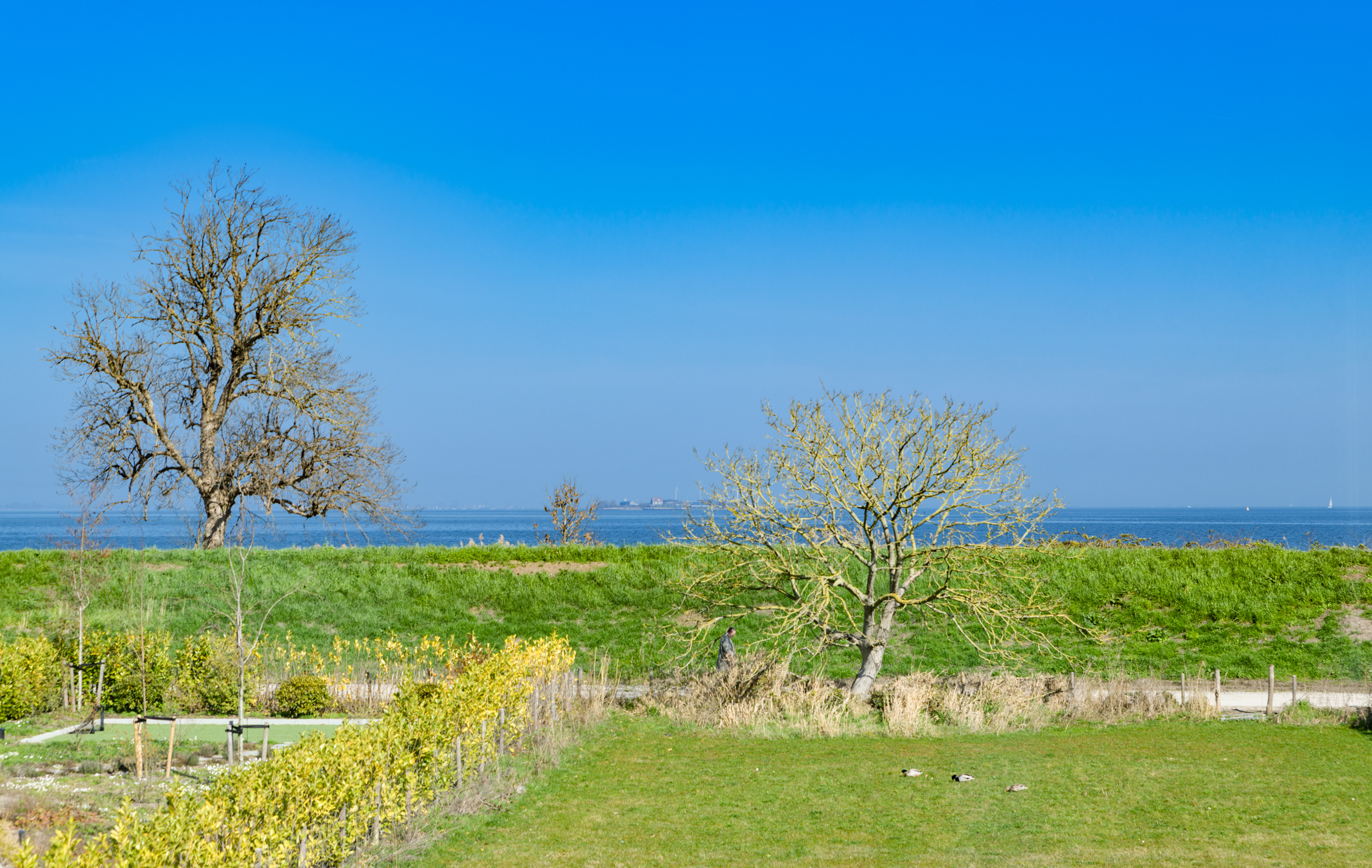  The Architectural Waterfront Villa on the IJmeer - 物件實景