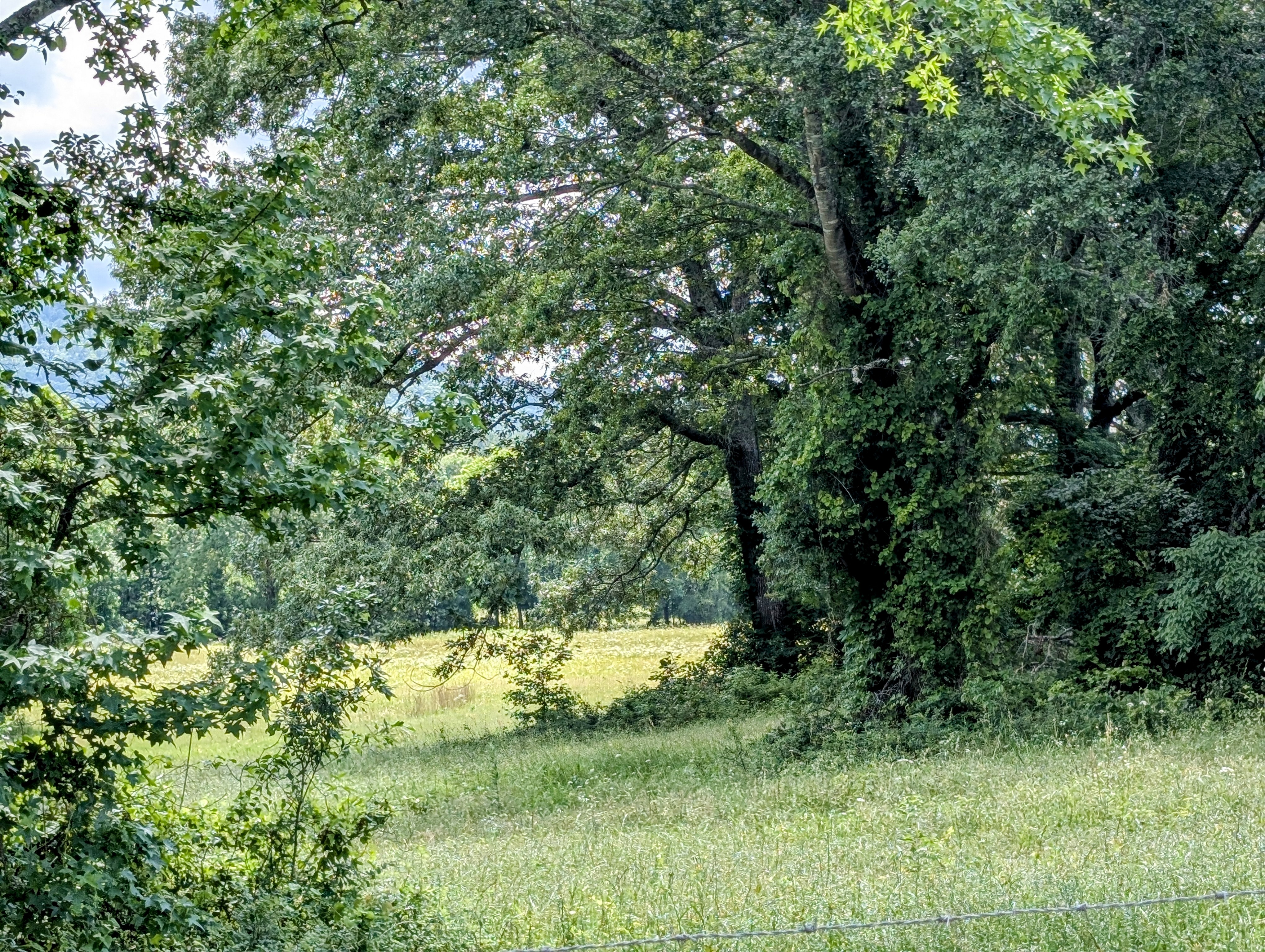 Smithville, Oklahoma, 74957, United States, ,Land,For Sale,1978835