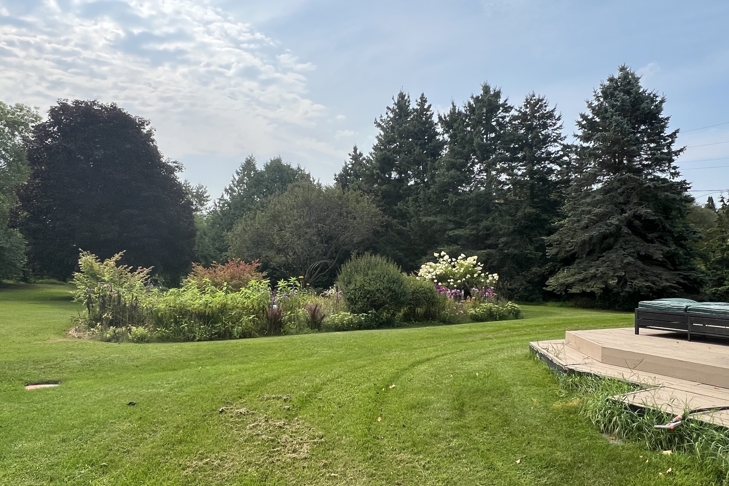  Warkworth Country Retreat - 物件實景