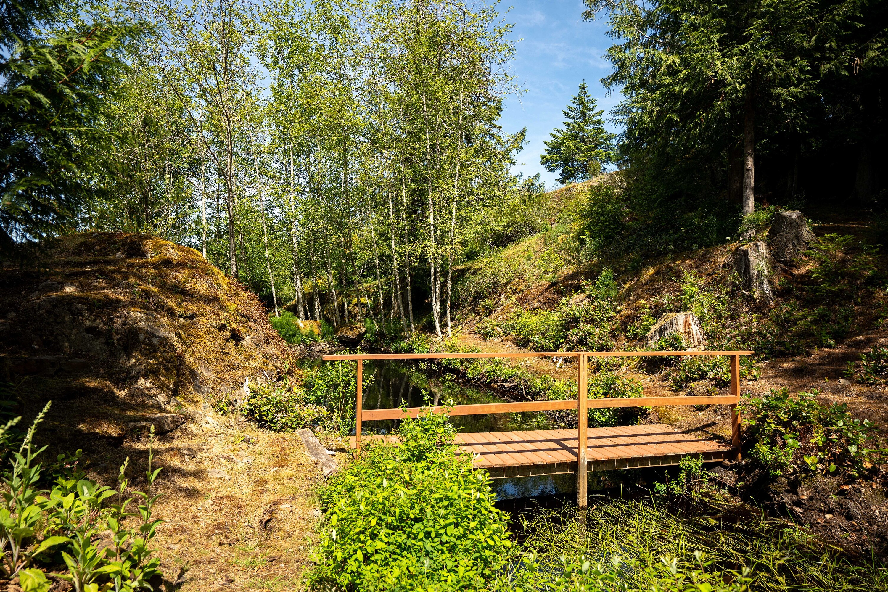  Discover A Private Oasis - 物件實景