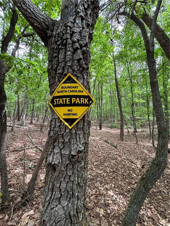 Pinnacle, North Carolina, 27043, United States, ,Land,For Sale,1829534