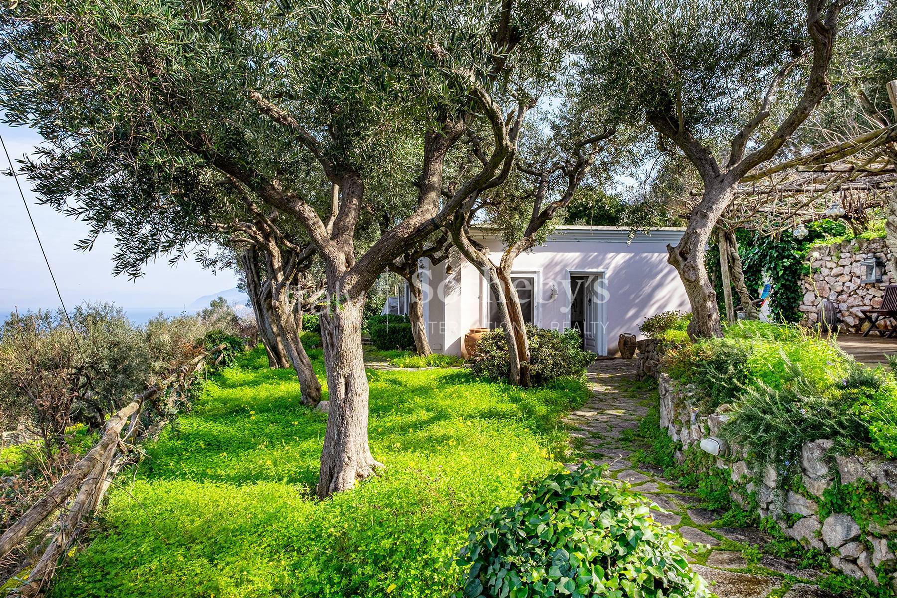  Magnificent villa overlooking the Grotta Azzurra - 物件實景