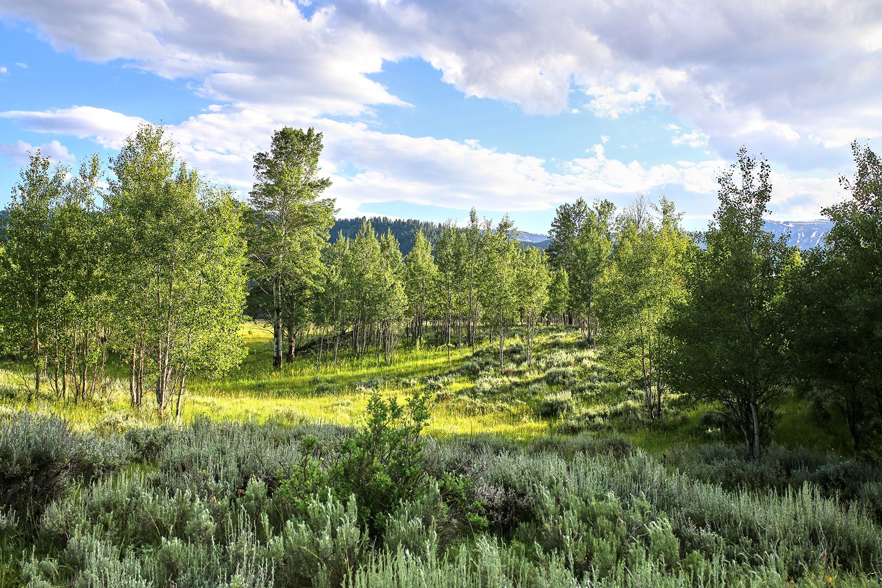  Snake River Sporting Club Lot - 物件實景