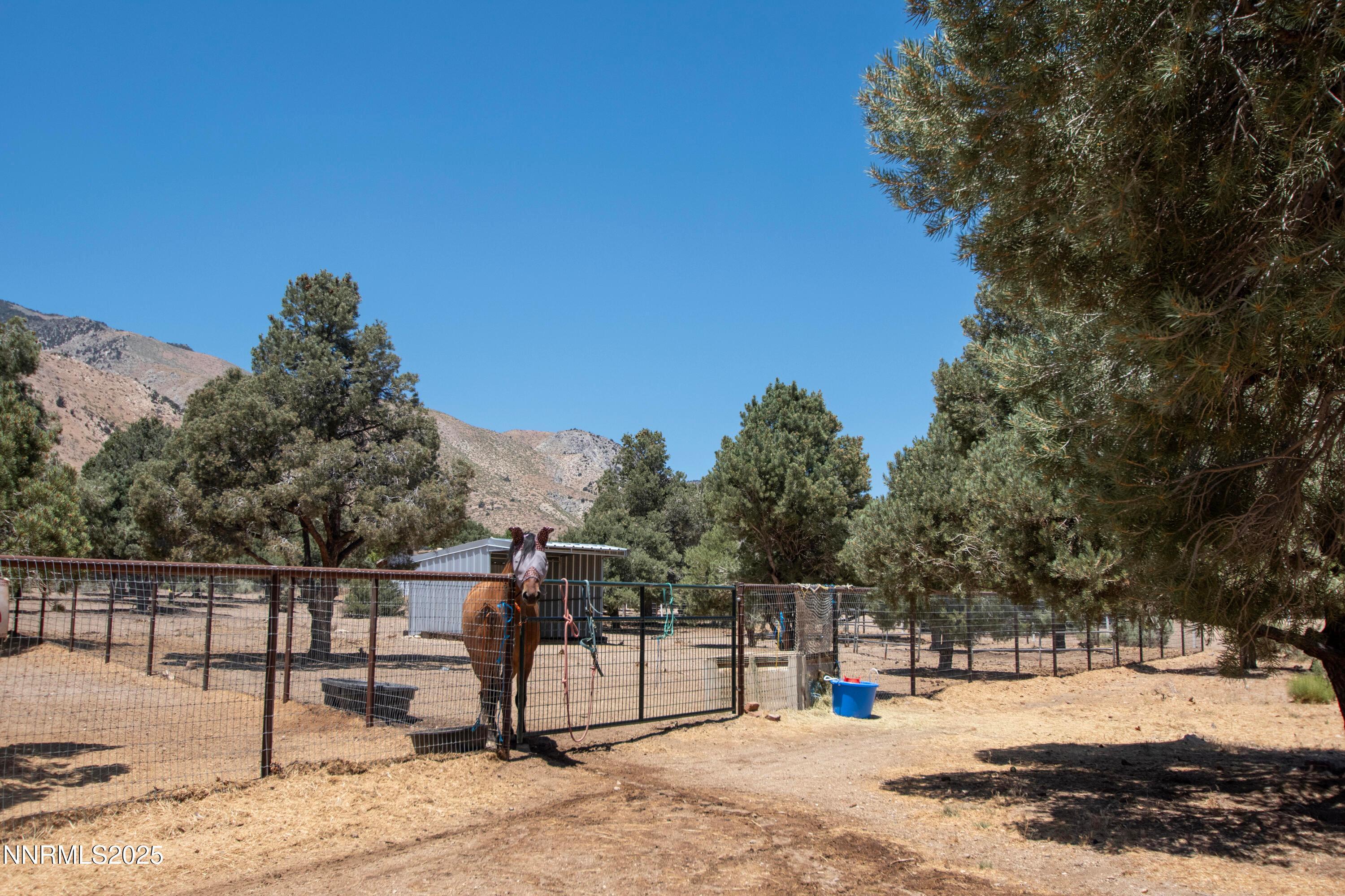 Wellington, Nevada, 89444, United States, 2 Bedrooms Bedrooms, ,1 BathroomBathrooms,Residential,For Sale,1876918