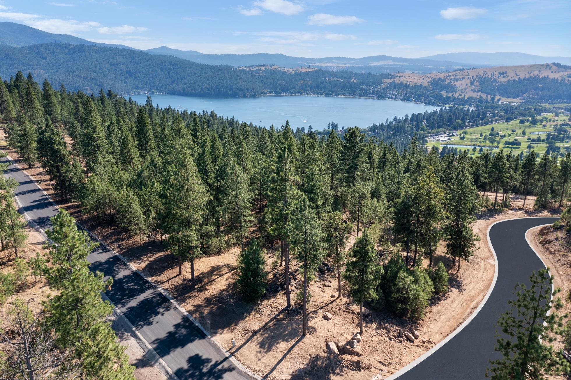 Liberty Lake, Washington, 99019, United States, ,Land,For Sale,1973818