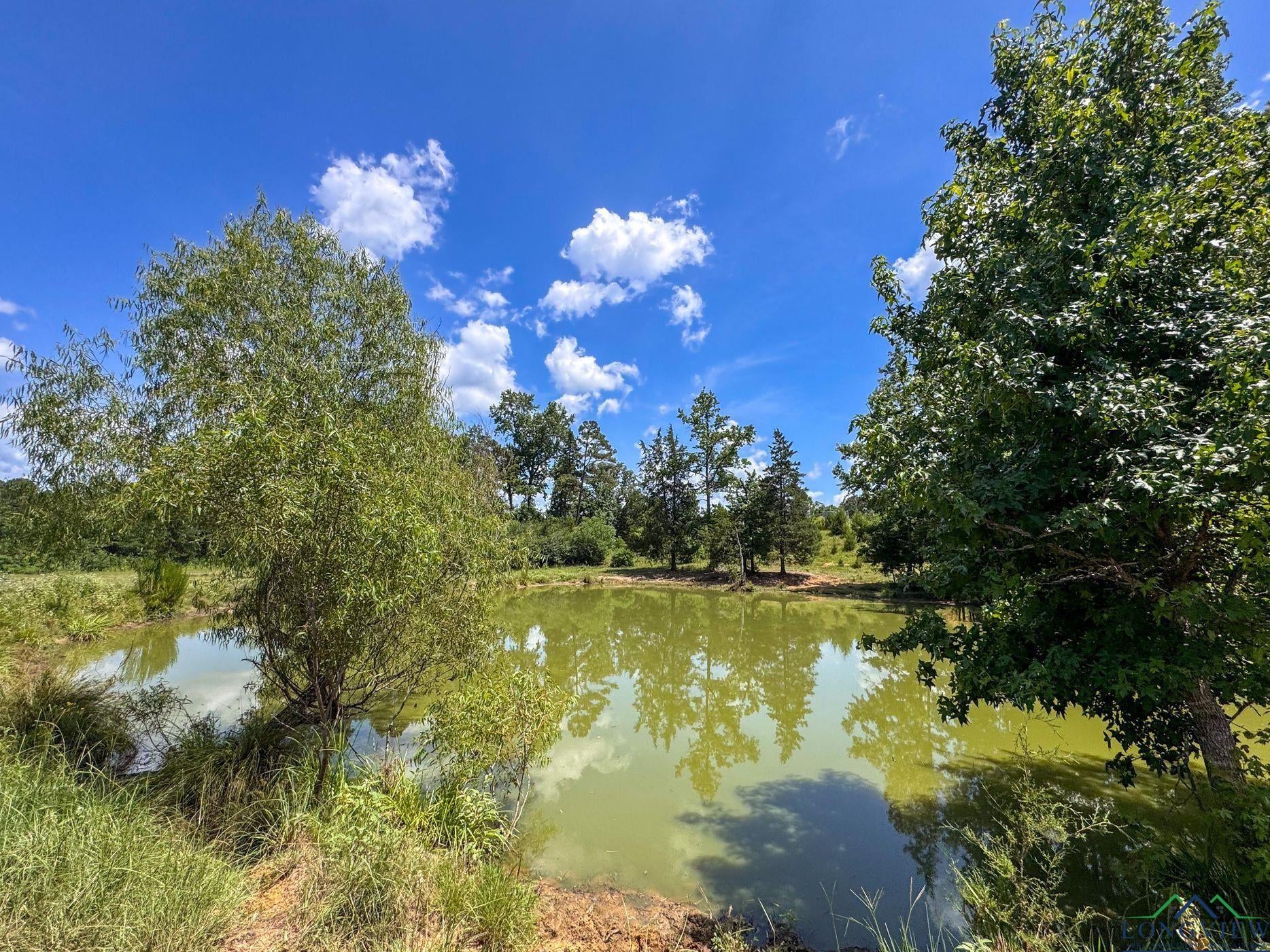 Linden, Texas, 75563, United States, 3 Bedrooms Bedrooms, ,3 BathroomsBathrooms,Residential,For Sale,1974630