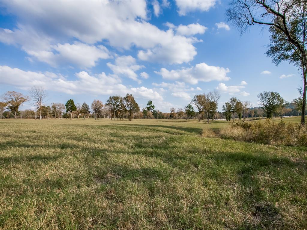 1370 Vzcr 4907, Ben Wheeler, Texas, 75754, United States, 11 Bedrooms Bedrooms, ,14 BathroomsBathrooms,Land,For Sale,1370 Vzcr 4907,1663895