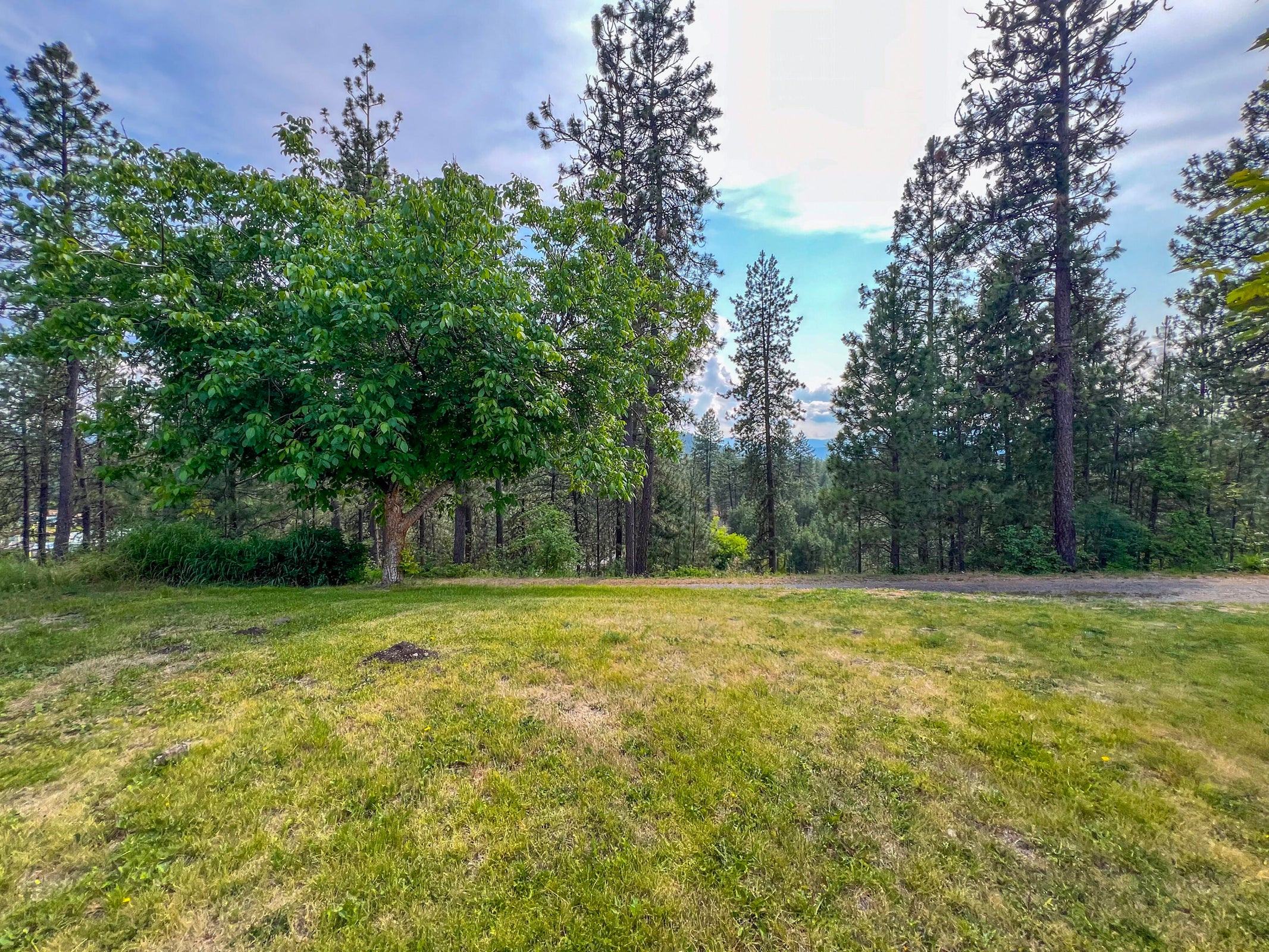 Colville, Washington, 99114, United States, 3 Bedrooms Bedrooms, ,2 BathroomsBathrooms,Residential,For Sale,1928026
