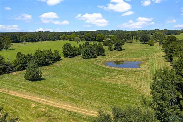 Henderson, Texas, 75652, United States, 3 Bedrooms Bedrooms, ,2 BathroomsBathrooms,Residential,For Sale,1958802