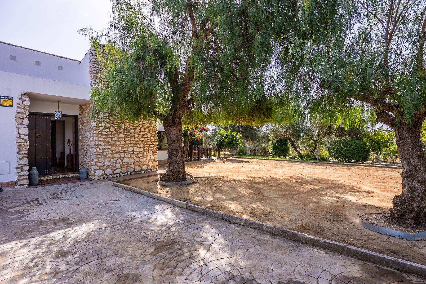  Exclusive equestrian estate next to the Pre-Coto de Doñana - 物件實景