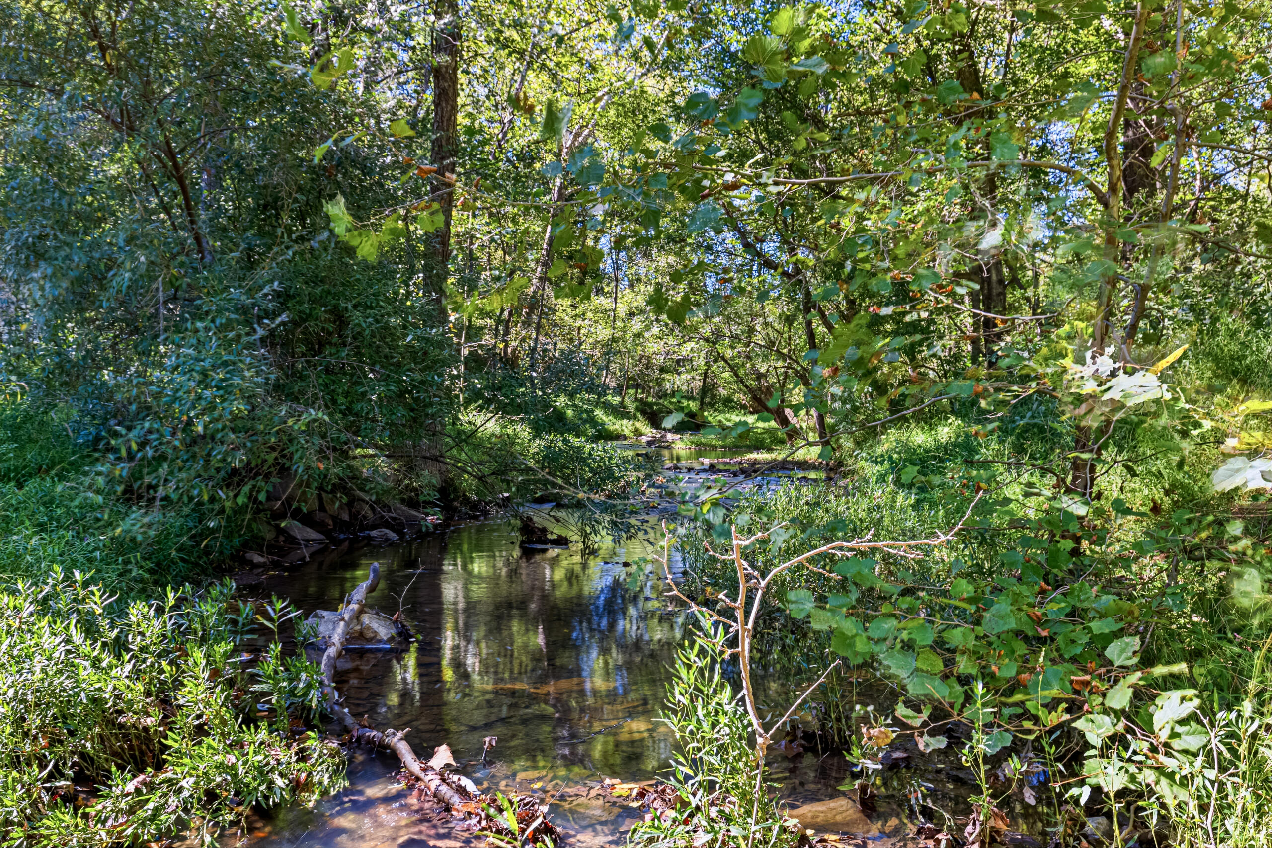  36155 Chamblin Mill Lane, Purcellville, VA, 20132 - 物件實景