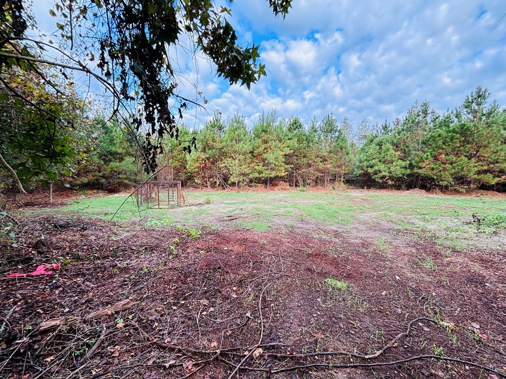 Abbeville, Georgia, 31001, United States, ,Land,For Sale,1975130