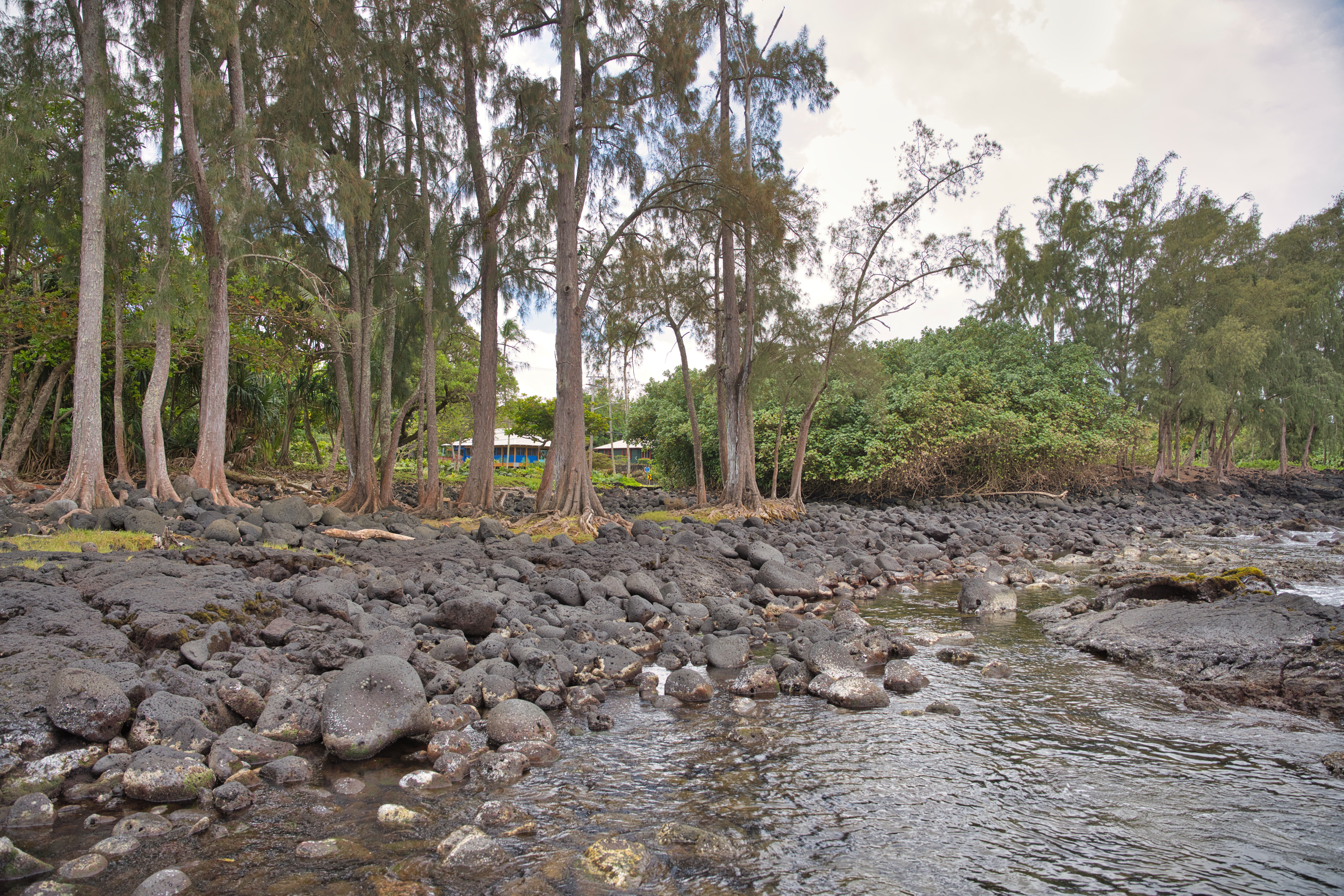  2070 Kalanianaole St, Hilo, HI, 96720 - 物件實景
