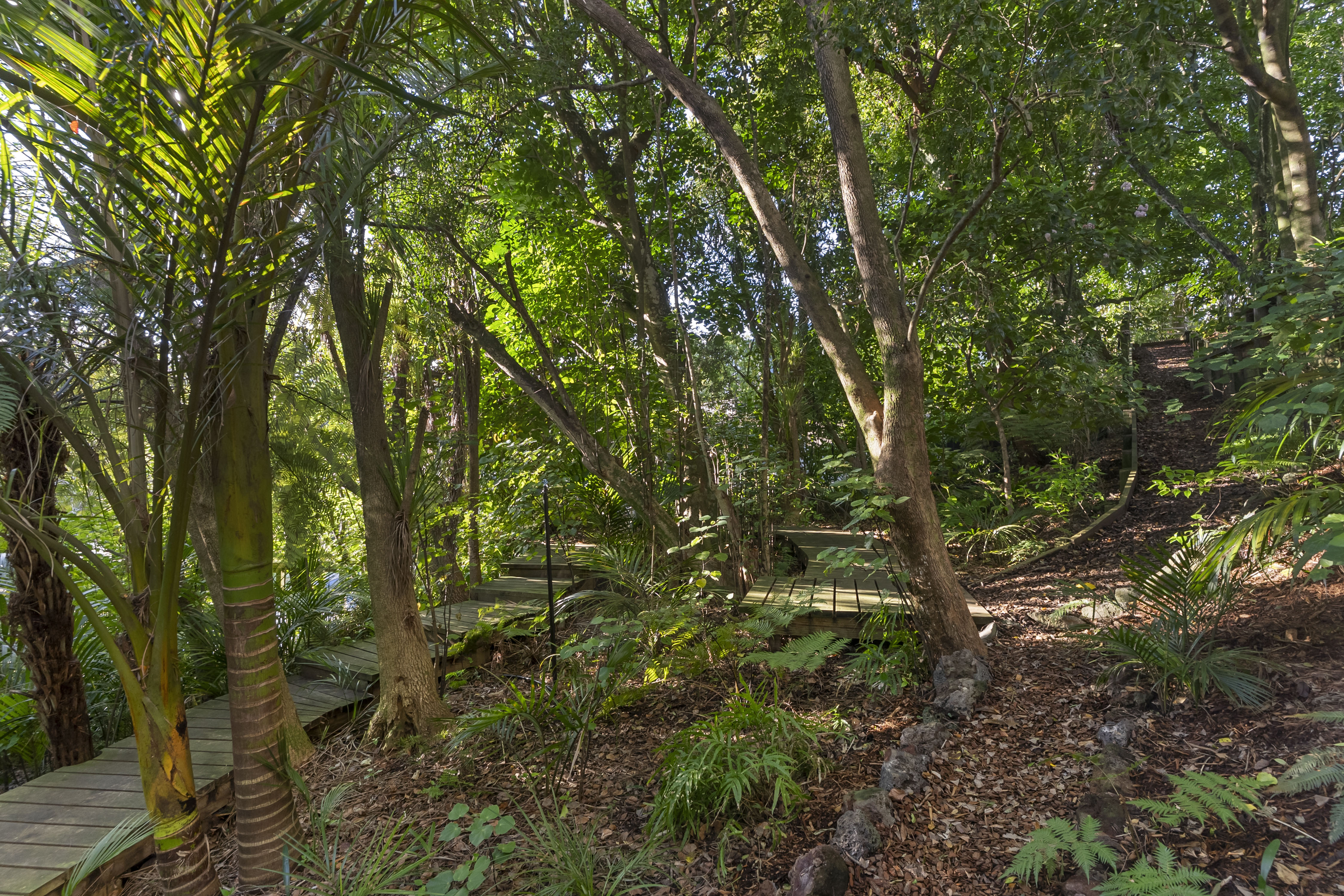  18 Te Kowhai Place, Remuera, Auckland - 物件實景