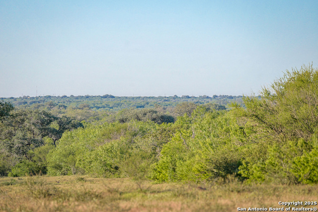 Beeville, Texas, 78102, United States, ,Land,For Sale,1942121