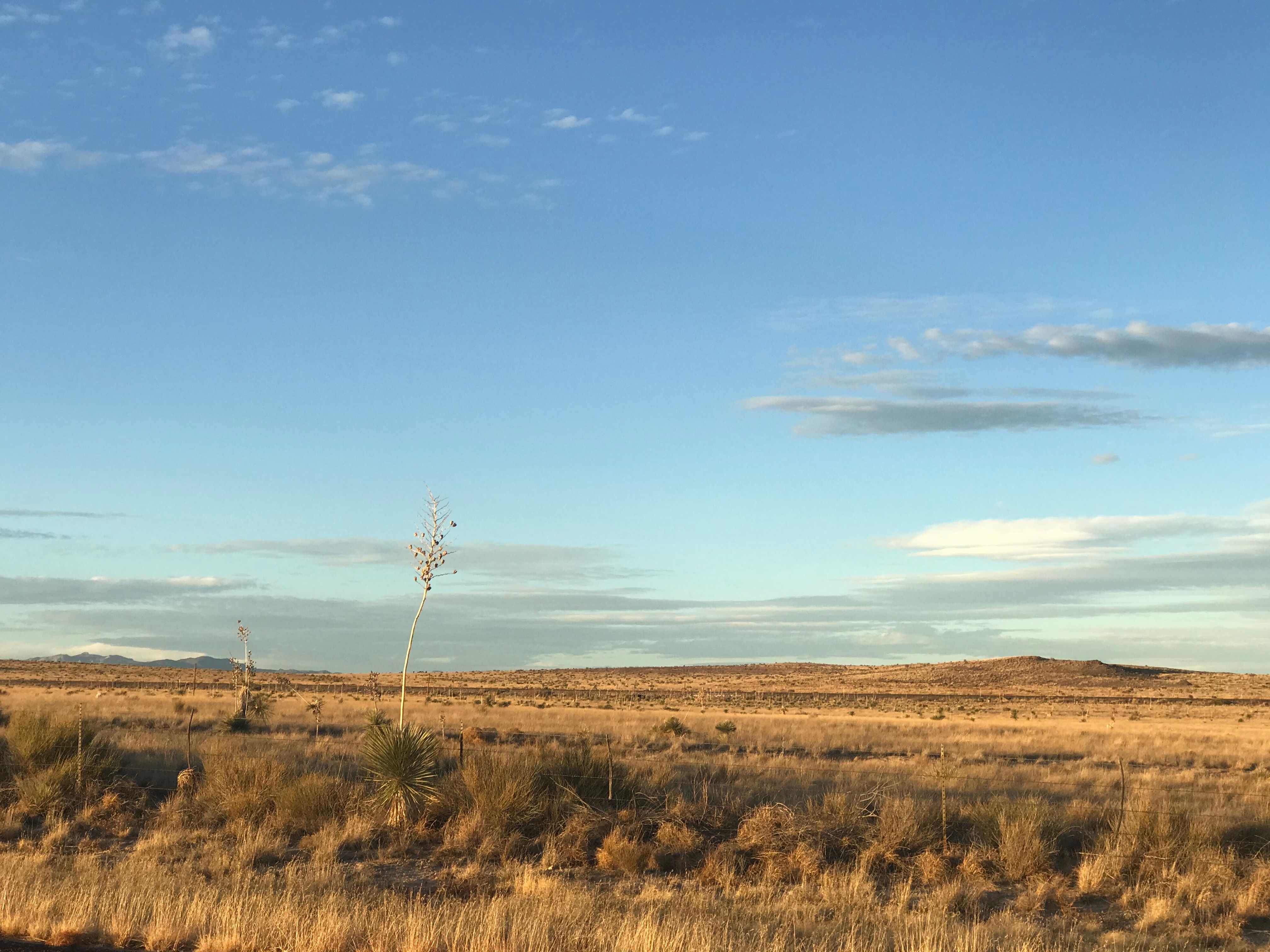  18311 Hwy 90, Marfa, TX 79843 - 物件實景